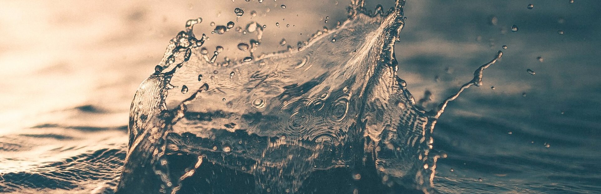 Wassertropfen im Meer